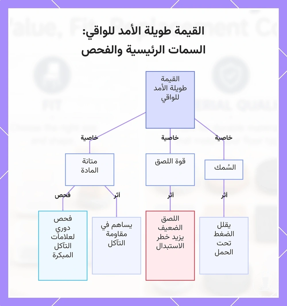 القيمة طويلة الأمد للواقي: السمات الرئيسية والفحص