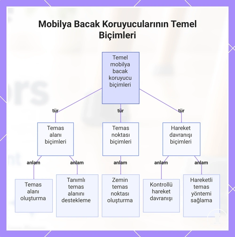 Mobilya Bacak Koruyucularının Temel Biçimleri